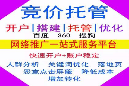 百度竞价代理在某行业的具体应用与效果